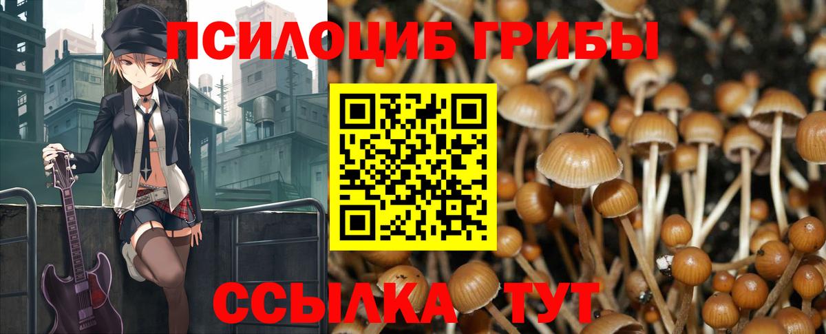 Отрадное  Псилоцибиновые грибы MAGIC MUSHROOMS  Вход с VPN 
