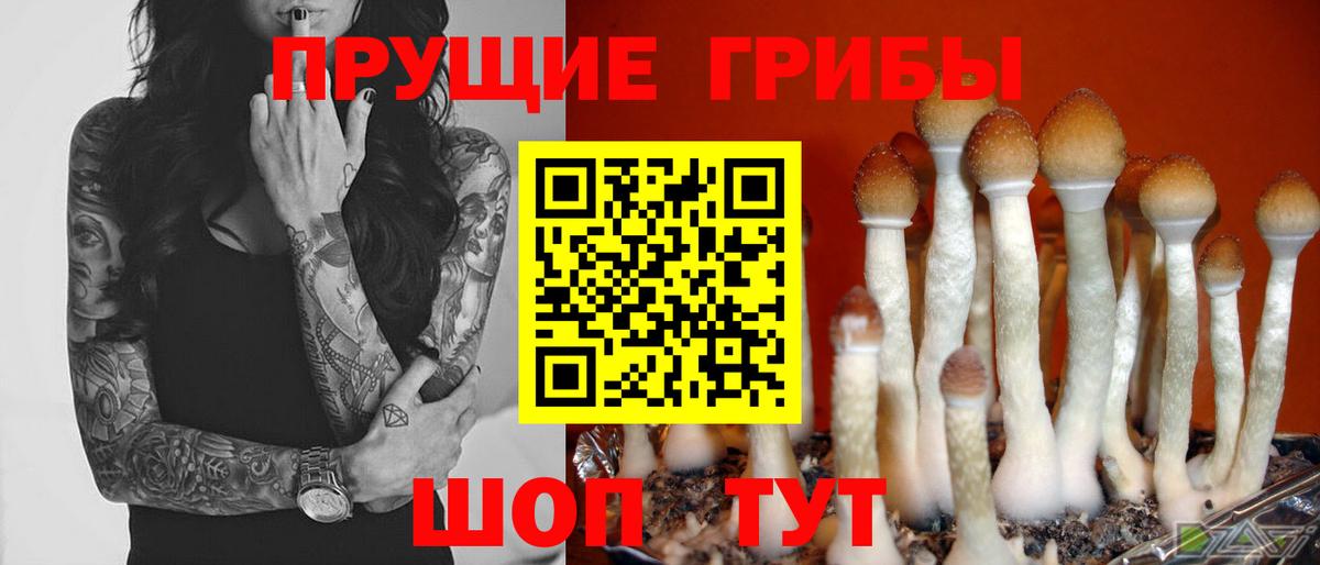 Псилоцибиновые грибы ЛСД Отрадное