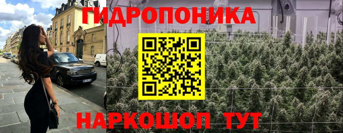 Конопля план Отрадное